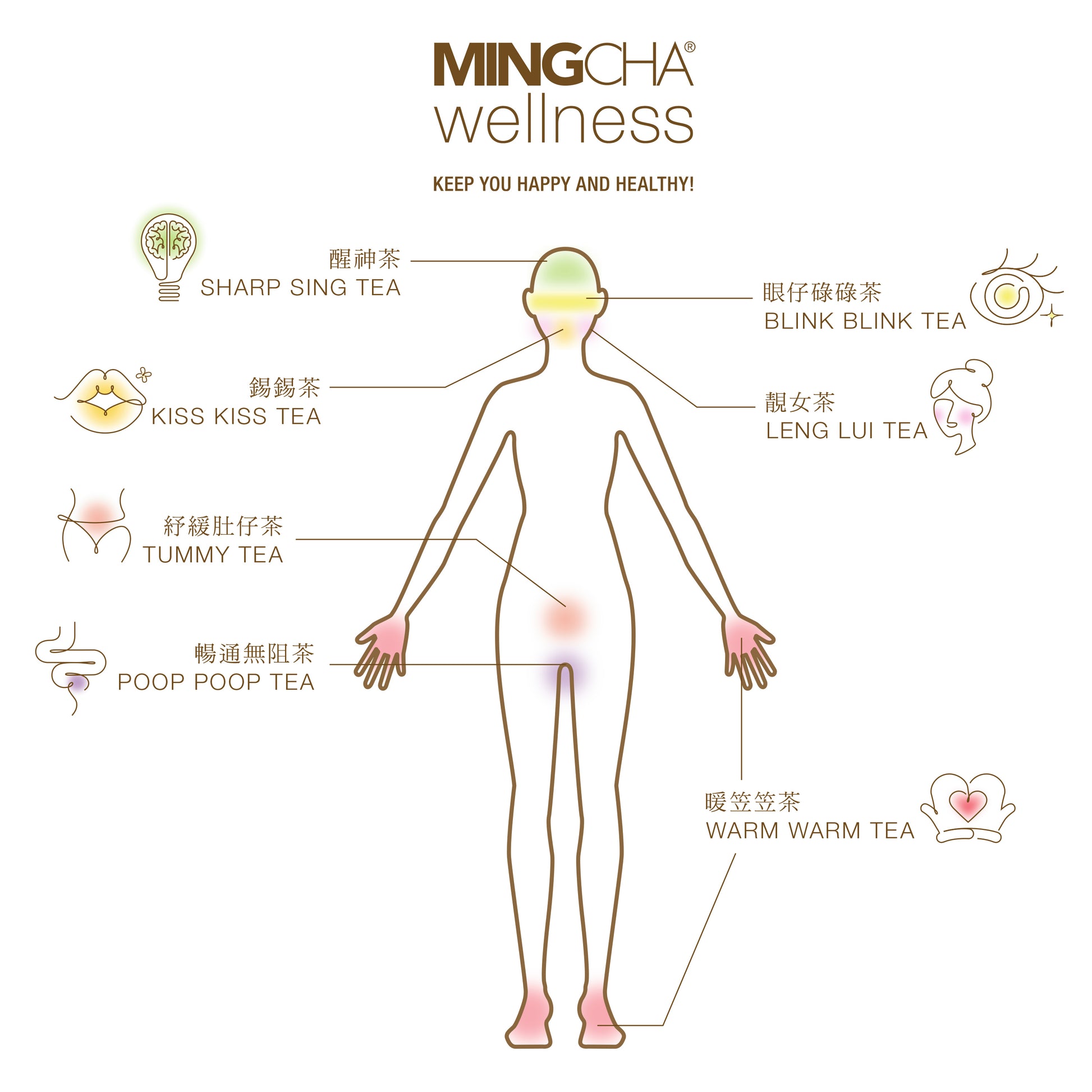 MingCha Wellness - Warm Warm Tea bundle 3 packs - starcopia design store