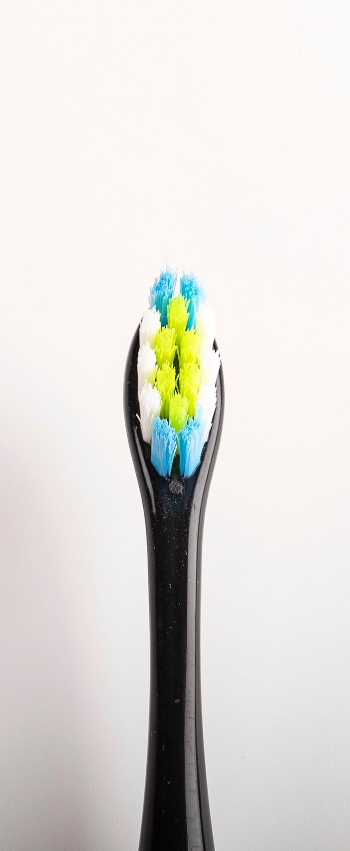 Oclean Toothbrush Head Replacements - starcopia design store