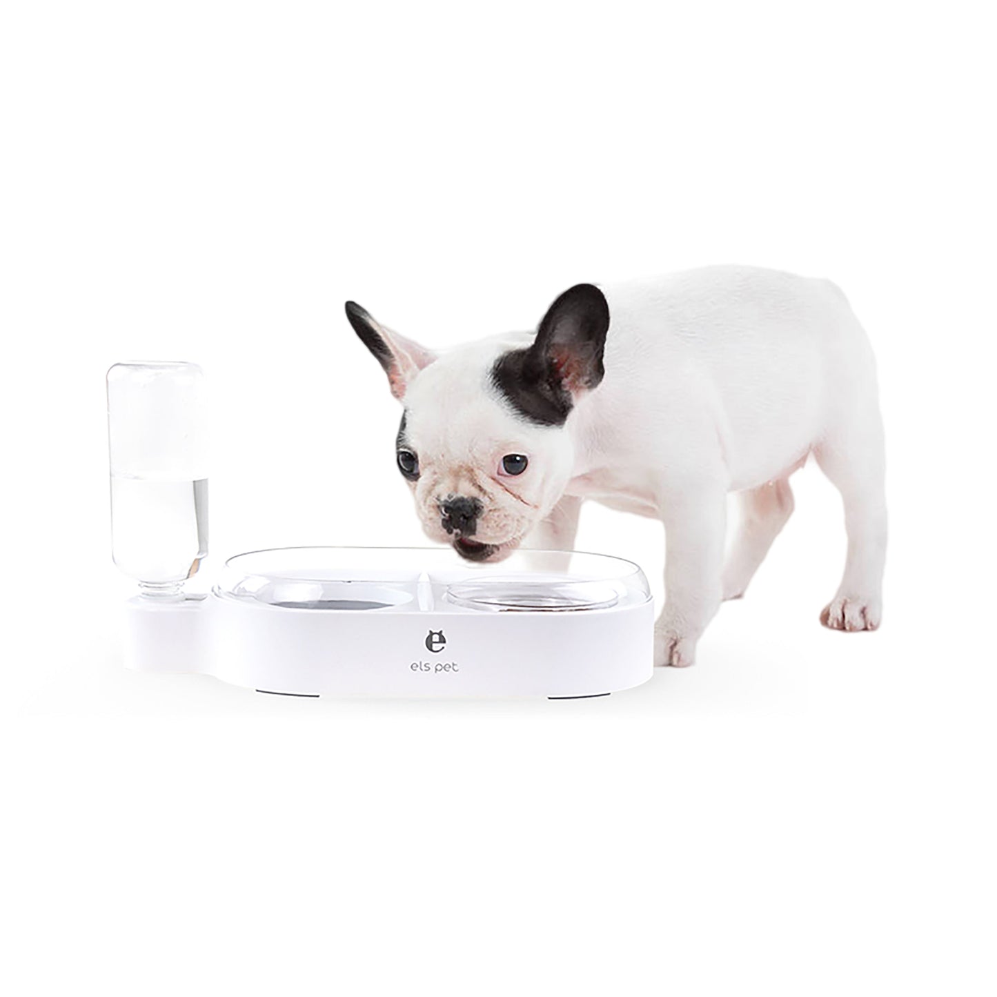Pet Feeder 2-in-1 drinking and food bowl with splash - starcopia design store